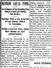 Newspaper article about the remaining pine trees in Aitkin County, MN, 1899.