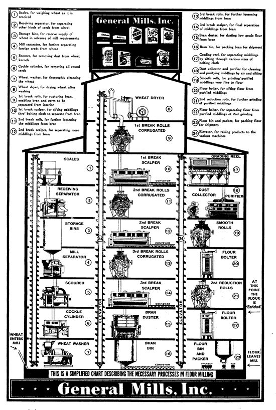 Diagram showing the flour milling process in 23 steps.